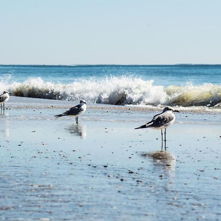 Direct Gulf Views With Deeded Beach Access Gulf Shores Exteriér fotografie